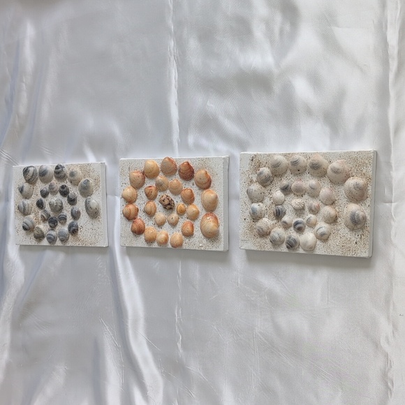 3 Pc Seashell Art, Beach Art, 3 Pieces 5x7 Wall Art, Hand Crafted Sea Shells - Picture 5 of 15